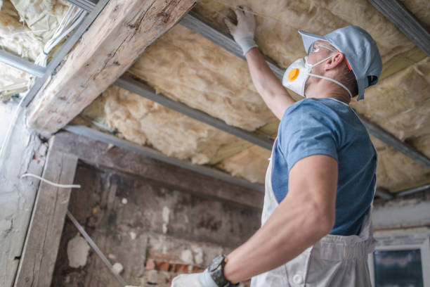 Best Insulation Maintenance and Repair in Parksdale, CA